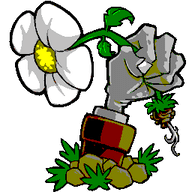 Plants vs Zombies: Shooting